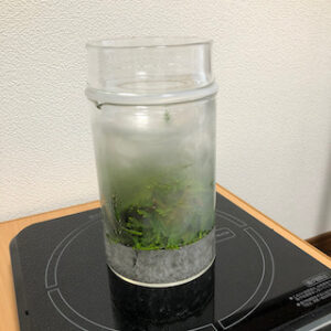 リカロマminiでヒバ蒸留